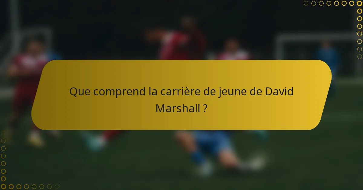 Que comprend la carrière de jeune de David Marshall ?