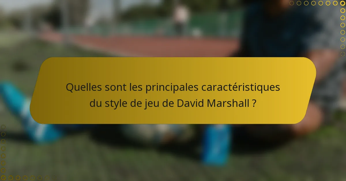 Quelles sont les principales caractéristiques du style de jeu de David Marshall ?
